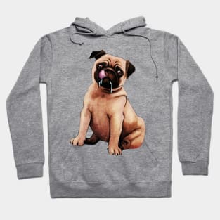 pug Hoodie